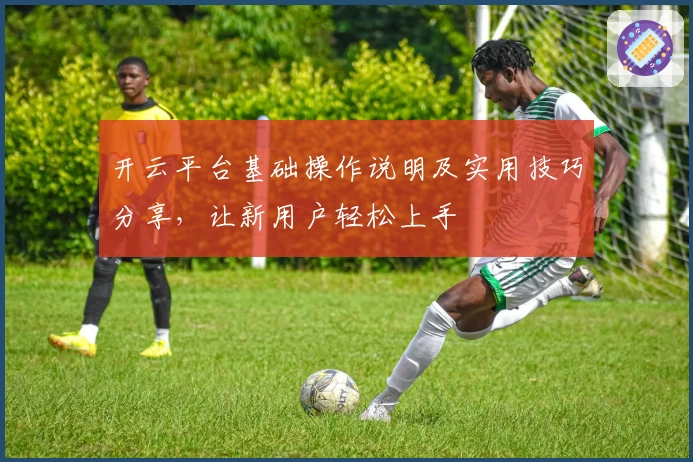 开云平台基础操作说明及实用技巧分享,让新用户轻松上手