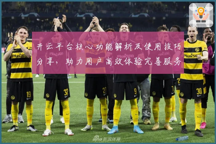开云平台核心功能解析及使用技巧分享，助力用户高效体验完善服务